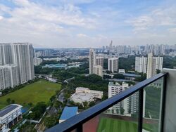 the-clement-canopy photo thumbnail #7